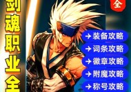 如何查看剑魂的个人信息和详细资料？