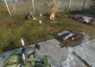 《H1Z1与DayZ测评对比感受》（探究两款游戏的异同）