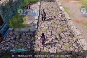 探究墨魂高适的选择之路（以好感度为导向的选项推荐）