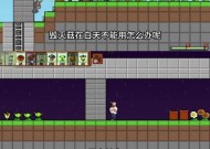 《植物大战僵尸》第五关攻略（解锁关键道具）