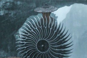cf手游中哪些角色拥有暗器？暗器角色的特色是什么？