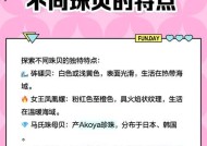 大话西游珠贝的正确使用方法是什么？使用珠贝有哪些技巧？