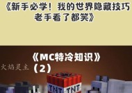 我的世界观察者使用技巧是什么？