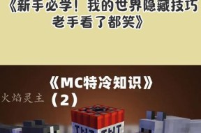 我的世界观察者使用技巧是什么？