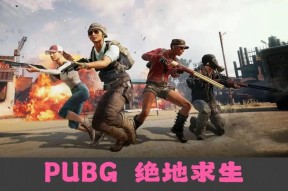 绝地求生游戏完整性验证方法是什么？