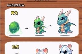 彩虹岛中灵宠的获取方式有哪些？如何获得？