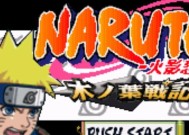 火影忍者游戏花屏问题如何解决？常见原因有哪些？