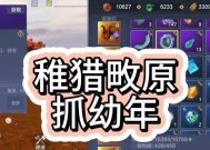 妄想山海宠物培养攻略（游戏玩家必读的宠物选择与培养攻略）