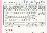 《掌握NBA2K10键盘操作》（详解NBA2K10游戏中的键盘控制方法）
