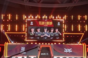 英雄联盟中如何选择打野应对肉盾阵容？