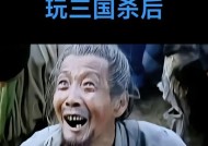 三国杀中最具侮辱性的台词是什么？如何应对？