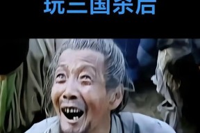 三国杀中最具侮辱性的台词是什么？如何应对？