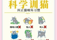猫哥打怪的技巧是什么？如何提高打怪效率？