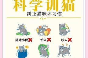 猫哥打怪的技巧是什么？如何提高打怪效率？