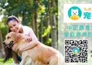 魔兽在哪里有宠物寄养？宠物寄养服务的查找方法？