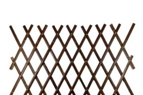 桃源记篱笆（用策略拆除篱笆）