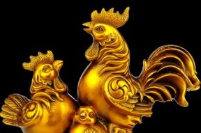 《探寻疯狂动物园中报晓金鸡的抓捕技巧》（挑战高级难度）