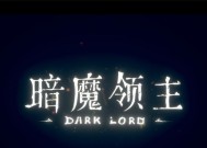 《暗魔领主双刀武器玩法攻略》（掌握双刀技巧）