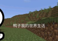 我的世界鸭怎么驯服？驯服鸭子需要哪些材料？