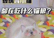 《猫咪公寓2》繁殖攻略（让你的猫咪恋爱生小猫的详细指南！）