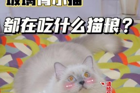 《猫咪公寓2》繁殖攻略（让你的猫咪恋爱生小猫的详细指南！）