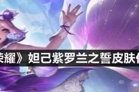 王者荣耀皮肤的售价是多少？