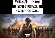 绝地求生高塔战斗技巧有哪些？如何在高塔上有效打击敌人？