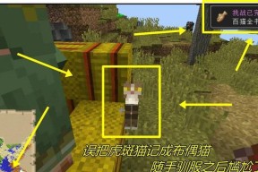 我的世界中驯养猫的步骤是什么？需要哪些材料？