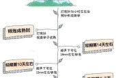 Temtem快速孵蛋攻略（掌握这些技巧）