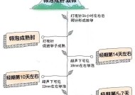 Temtem快速孵蛋攻略（掌握这些技巧）