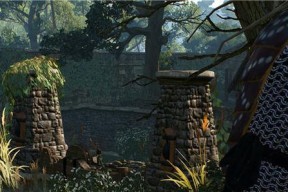 《巫师3》新版本狼人牌组解析（重新定义游戏竞技场）