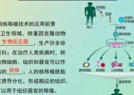 《细胞分裂3》游戏分支路线追加攻略（探索全新故事线）