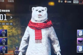 绝地求生朱莉装备方法是什么？如何正确装备以发挥最大效果？