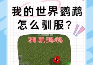 我的世界中养鸟的方法和技巧是什么？