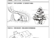 H1Z1野外求生攻略解析（如何在野外生存）