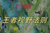 王者荣耀视野优化的方法是什么？