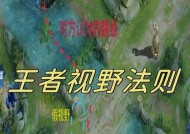 王者荣耀视野优化的方法是什么？