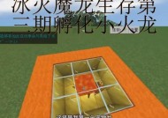 我的世界中如何正确饲养和繁殖龙？