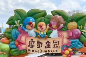 摩尔庄园童玩区怎么进去？进入童玩区需要满足什么条件？