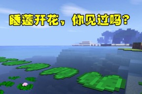 我的世界中睡莲种植方法是什么？种植睡莲需要注意什么？