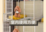 狗窝设计的要点是什么？