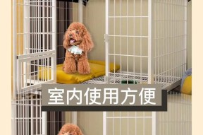 狗窝设计的要点是什么？