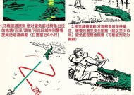 荒岛求生攻略（掌握这些关键技能）