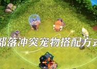 部落冲突中宠物切换英雄的操作方法是什么？