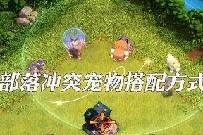 部落冲突中宠物切换英雄的操作方法是什么？