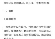 《王者荣耀》中快速打野英雄的技巧是什么？