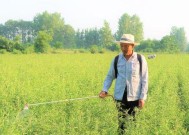 魔兽世界怎么种地？种植作物的基本流程是什么？