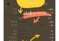 玩H1Z1游戏时如何调整画面质量与亮度（优化游戏画面让你更畅快游戏体验）
