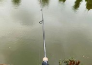 铂盾征途鱼竿性能如何？适合哪些钓鱼场景？