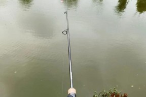 铂盾征途鱼竿性能如何？适合哪些钓鱼场景？
